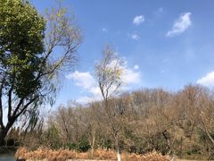 -合肥三国新城遗址公园