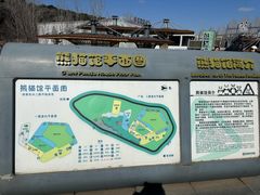 -沈阳森林动物园