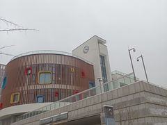 -中国宋庆龄青少年科技文化交流中心