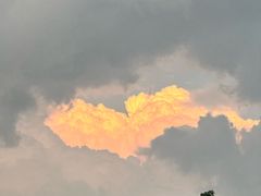 -富正毅三下锅(体育馆店)