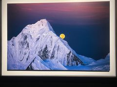 -罗红摄影艺术馆