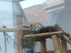 -无锡动物园·太湖欢乐园