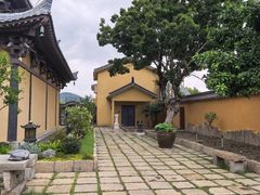 -外蒲山