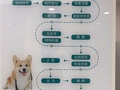 -瑞派康怡24h宠物医院·犬猫医疗中心·微创绝育(瑞景分院)