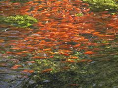 -水磨沟公园