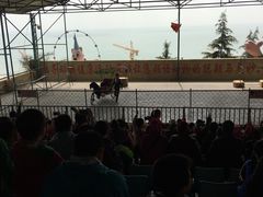 -东方熊牧场