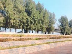 -宝安西湾红树林湿地公园