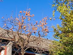-北京石刻艺术博物馆(五塔寺)