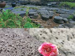 -海花岛旅游度假区
