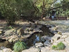 -兰亭风景区