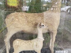 -仿膳饭庄·宫廷风味(百年传承店)