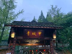 -青城甲(青城山店)