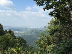 -大屏嶂森林公园