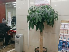 -中国工商银行(北京九龙山支行)