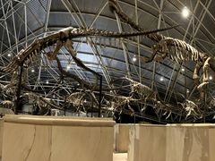 -世界恐龙谷景区