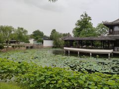 -尚湖风景区
