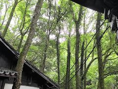 -富春桃源风景区