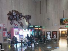 -武汉华夏国际影城(鲁广店)