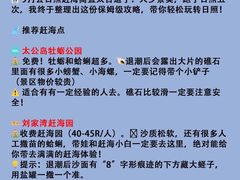 -日照海滨国家森林公园