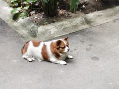 -老渔家鲜鱼轩(南浦横街店)