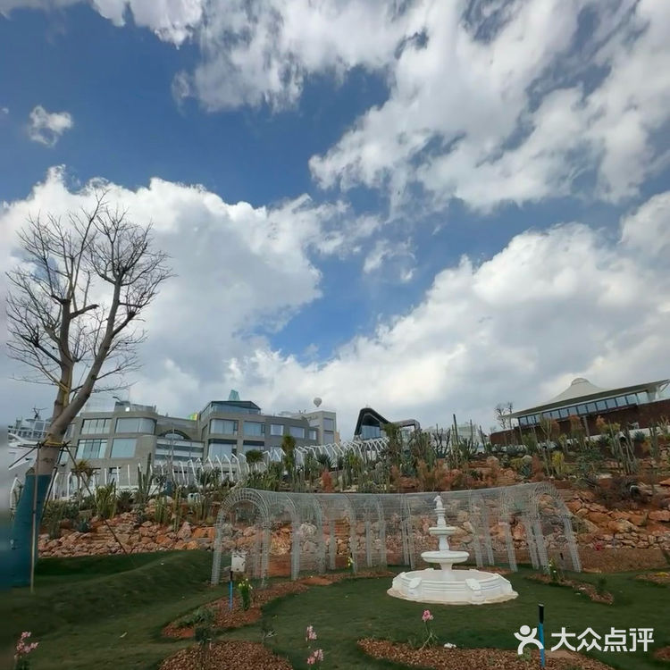 在这个咖啡店看着洱海发半天呆