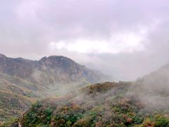 -大岭沟猕猴桃谷风景区