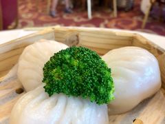 宾馆菊花卖-番禺宾馆丽苑厅