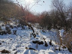 -太子岭滑雪场