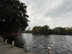 -荔湾湖公园