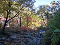 -丹东天桥沟景区