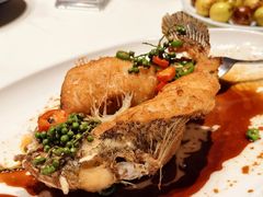 -侨美·唐荔园·40年地道粤菜