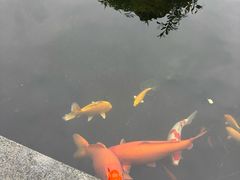 -代术连山回锅肉创始人餐厅(小学店)