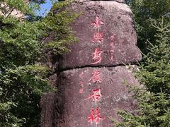 -汤旺河林海奇石景区