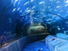 -太平洋海底世界