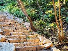 -大岭沟猕猴桃谷风景区