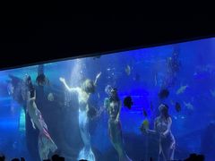 -江和美海洋公园