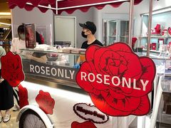 -ROSEONLY诺誓(广州K11店)