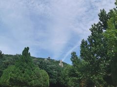 -龙口南山旅游景区