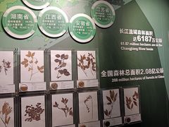 -长江文明馆