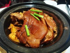 铁勺肘子-大铁勺新津菜(东丽阳光新业广场店)