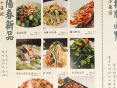 香椿头炒蛋-小菜园新徽菜(泰州茂业店)