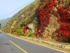-乌龙峡谷景区
