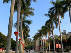 -厦门大学(思明校区)