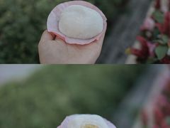 -澳门长洲糯米糍(柯打苏沙街店)