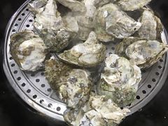 -蚝专家(北滘店)