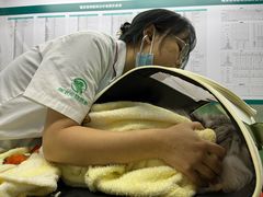 -瑞派动物医院·猫专科·至诚(江南中分院)