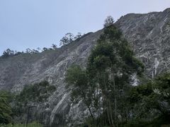 -水濂山森林公园