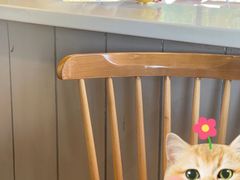 -肯德基(永盛店)