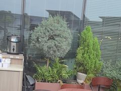 -La Terre乐田(万象城店)