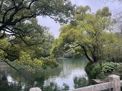 -西溪国家湿地公园